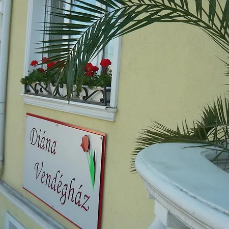 Diana Vendeghaz Έγκερ